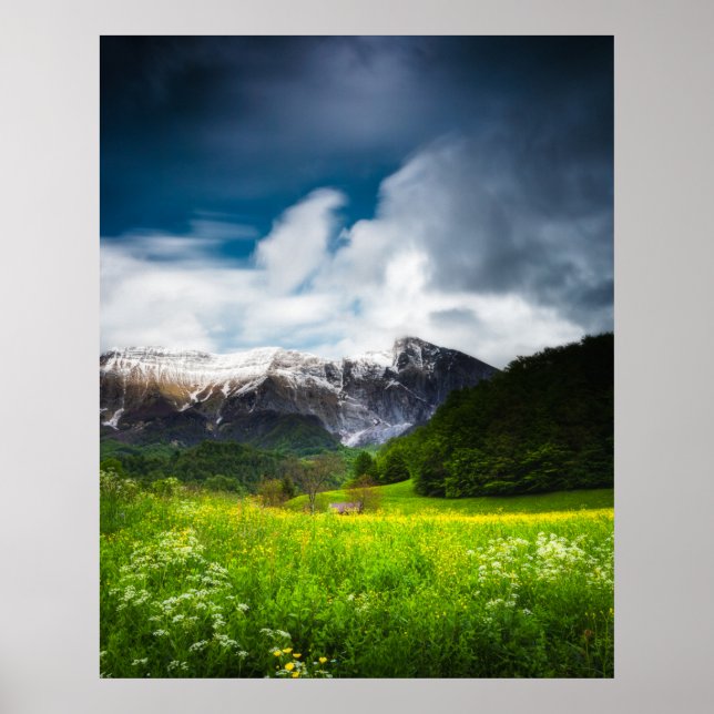 Poster Campo de primavera sob a montanha Krn (Frente)