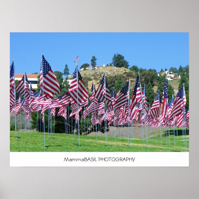 Pôster Campo De Sinalizadores Poster! (Frente)