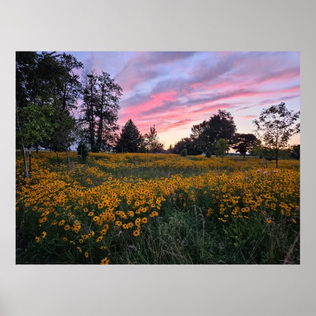 Poster Campo de Sonhos (Frente)