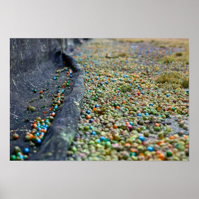 Pôster Campo de Sonhos (Frente)