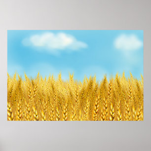 Poster Campo de Trigo Dourado Céu Azul Pintura a Óleo Ver