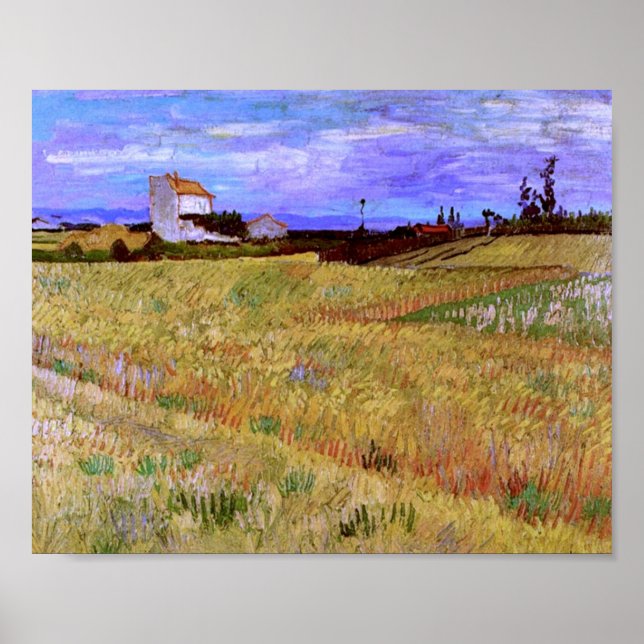 Poster Campo de trigo (F564) Van Gogh de arte fina (Frente)