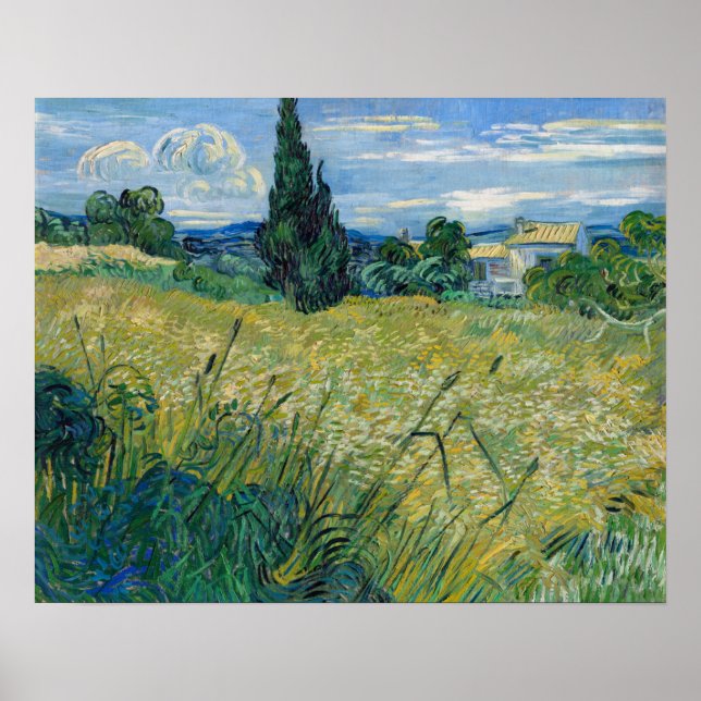 Poster Campo de trigo verde com Cypress 1889 por Vincent  (Frente)