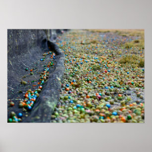 Pôster Campo dos sonhos