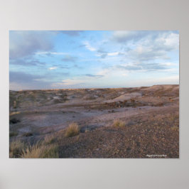 Poster Campo Floresta Petrificada