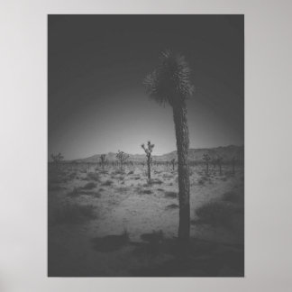 Poster Campo Negro e Branco Cinemático de Joshua Trees
