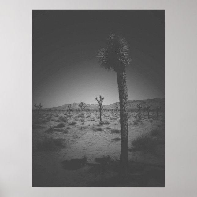 Poster Campo Negro e Branco Cinemático de Joshua Trees (Frente)