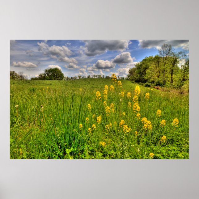 Poster Campo Verde e céu azul nublado (Frente)