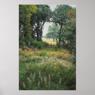 Poster Campos 2 do Tallahassee