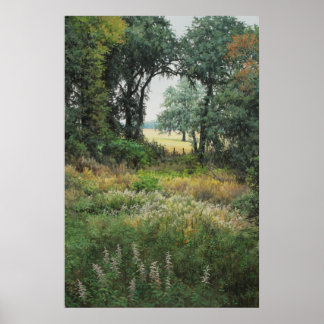 Poster Campos 2 do Tallahassee