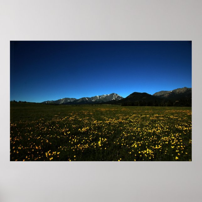 Poster Campos Amarelos (Frente)