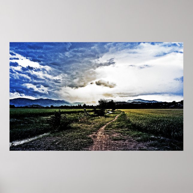 Pôster Campos de arroz no caminho (Frente)