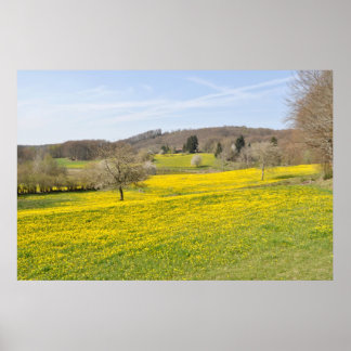 Pôster Campos de dandelion