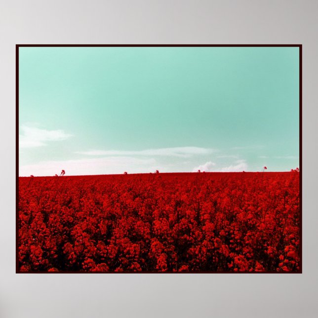 POSTER CAMPOS DE ESTRANHA PARA SEMPRE (Frente)