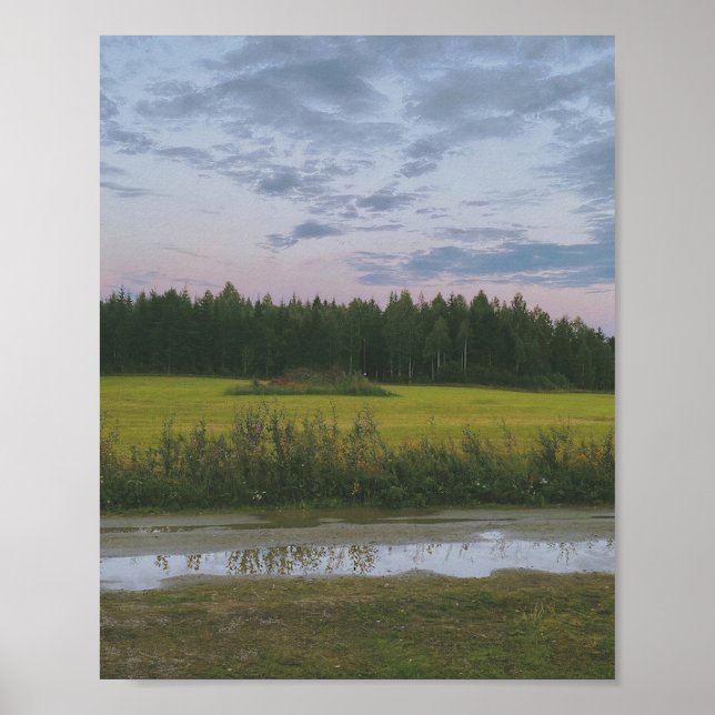 Poster Campos de Hälsingland (Frente)