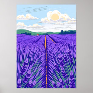 Poster Campos de Lavanda