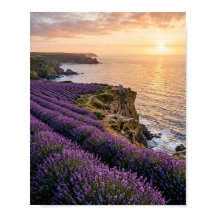Campos de Lavanda Costeiros ao Pôr do Sol Arte Pai