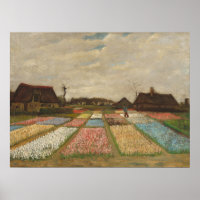 Campos de Massa - Paisagem Flor Van Gogh