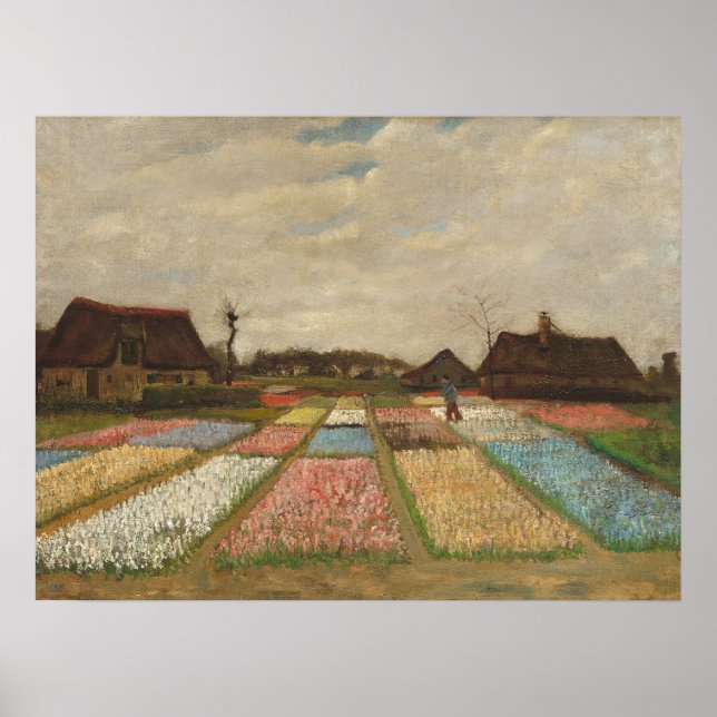 Poster Campos de Massa - Paisagem Flor Van Gogh (Frente)