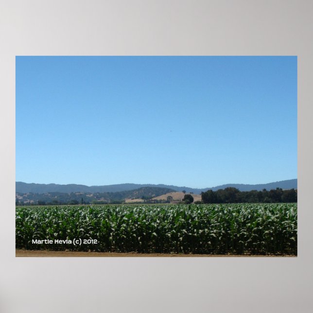 Poster Campos de milho (Frente)