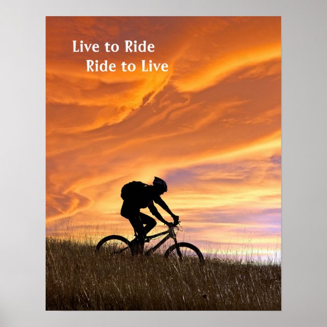 Pôster Campos de ouro (Frente)