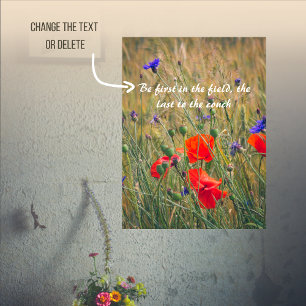 Poster Campos de trigo com papoila e flores de milho