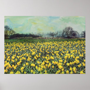 Pôster Campos do daffodil do primavera