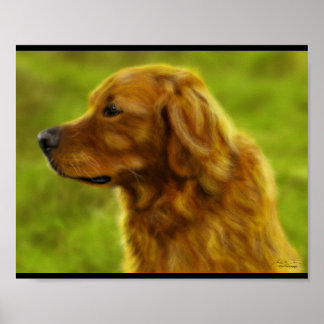 Pôster Campos do ouro