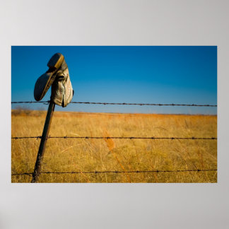 Pôster Campos do solitário