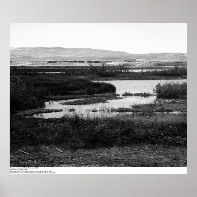 Poster Campus do outro lado da Piscina selvagem, Irvine,  (Frente)