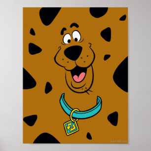 Pôster Camuflagem de Scooby-Doo