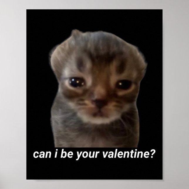 Poster Can I Be Your Valentine Funny Cat Meme Brainrot Ge (Frente)