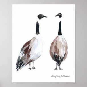 Poster Cana-de-ganso-canadiana