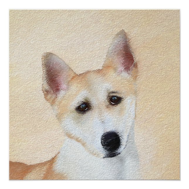Pôster Canaan Dog Painting - Arte de Cachorro Original (Frente)
