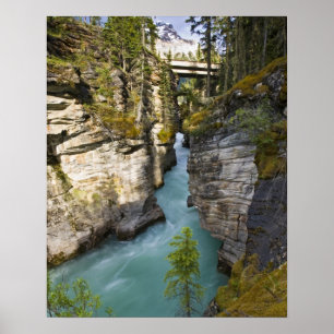 Pôster Canadá, Alberta, Jasper National Park, Athabasca