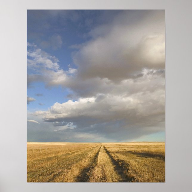 Pôster Canada, Alberta, Stand Off: Landscape with (Frente)