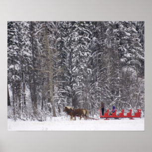 Poster Canadá, Banff. Passeios de trenó em Martin Stables