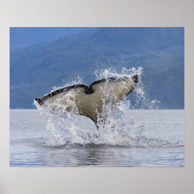 Poster Canadá, Colúmbia Britânica, Ilha de Vancouver, (Frente)