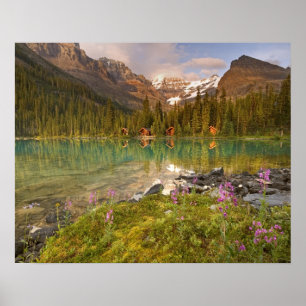 Poster Canadá, Colúmbia Britânica, Parque Nacional Yoho.