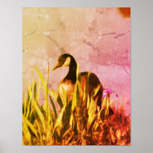 Poster Canadá ganso irlandês aflige arte natural