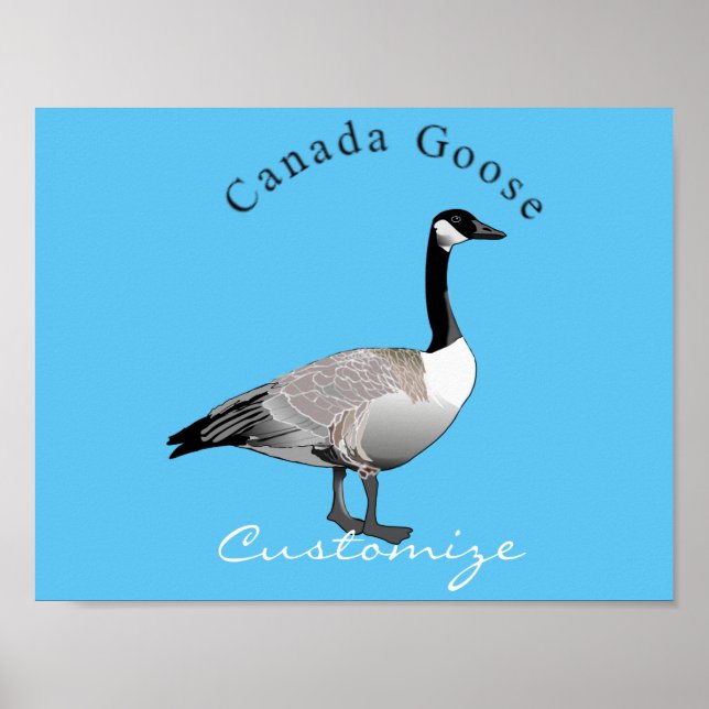 Poster Canadá Goose Gander Thunder_Cove (Frente)