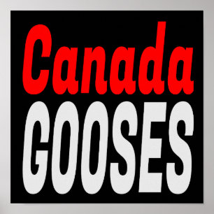 Poster Canadá Gooses - Letra Kenny Funny Novelty
