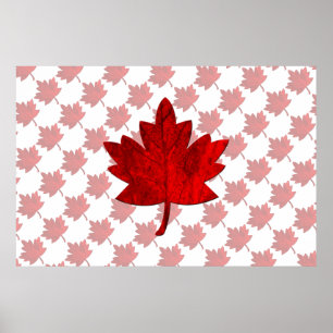 Poster Canada-Maple Leaf por Shirley Taylor