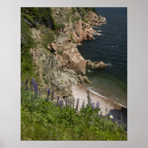 Pôster Canadá, Nova Escócia, Ilha do Cabo Breton, Cabot 3