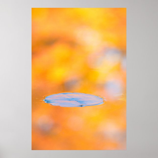 Pôster Canadá, Quebec | Monte Rua-Bruno Parque de Conserv (Frente)