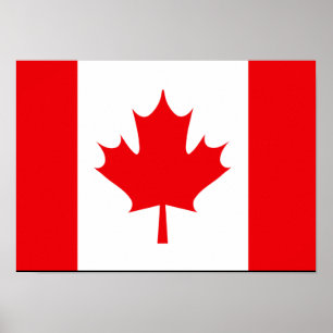 Pôster Canadian Flag T-shirts and Gifts