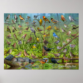 Pôster Canaviais do Oeste