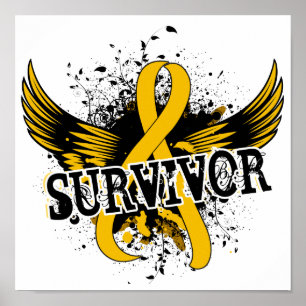 Poster Cancer da infância do sobrevivente 16