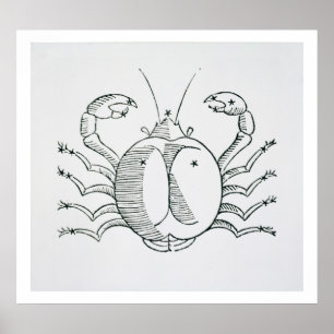 Pôster Cancer (o caranguejo) uma ilustração 'do poétic