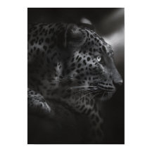 Câncer preto&branco